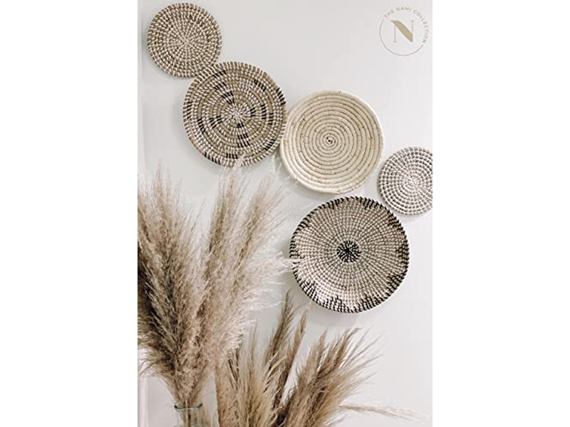 Decorazione Murale a Remo Verniciato con Decorazione di Zucca in Giacinto d'Acqua