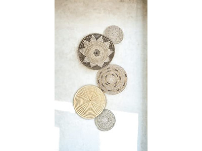 Decorazione Murale a Remo Verniciato con Decorazione di Zucca in Giacinto d'Acqua