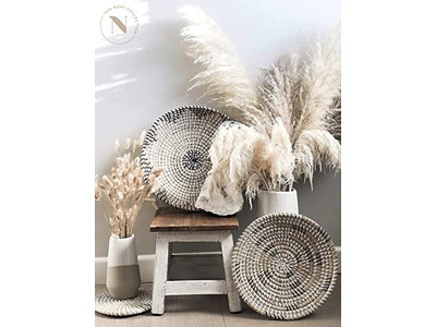 Decorazione Murale a Remo Verniciato con Decorazione di Zucca in Giacinto d'Acqua