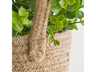 Decorazione Murale Sala da Pranzo Boho Rustico Camera da Letto Rosso Soggiorno Viola